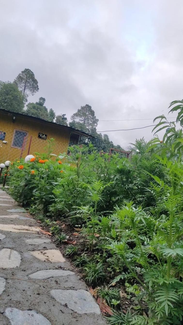 Krishna Kutir, Talla Ramgarh By The Meditating Society Zewnętrze zdjęcie